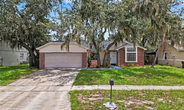 12108 Fruitwood Drive, Riverview, FL, 33569