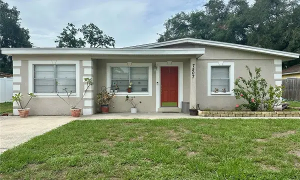 7507 Coral Vine Lane, Tampa, FL, 33619