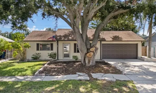 1310 Mandarin Drive, Holiday, FL, 34691