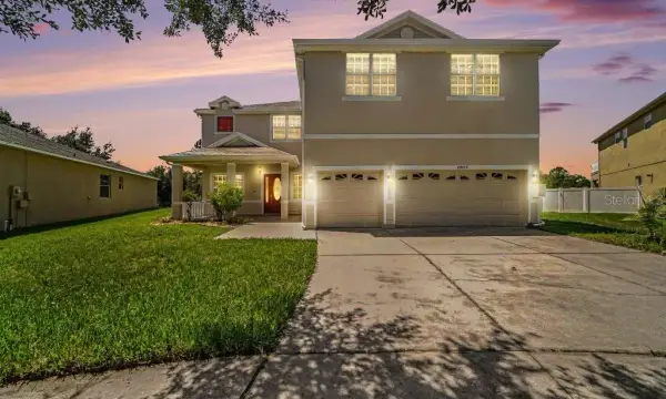 20009 Oakflower Avenue, Tampa, FL, 33647
