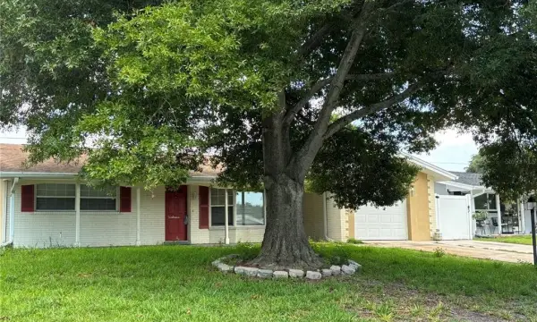 2050 High Ridge Drive, Clearwater, FL, 33763