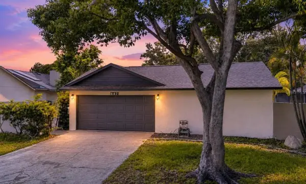 647 Bonnie Boulevard, Palm Harbor, FL, 34684