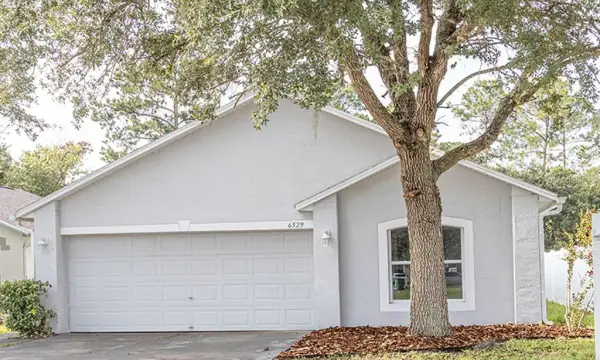 6529 Tabogi Trail, Wesley Chapel, FL, 33545