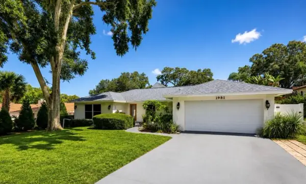 1981 Castille Drive, Dunedin, FL, 34698