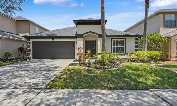 3247 Dunstable Drive, Land O Lakes, FL, 34638