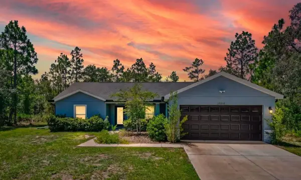 13218 Barnevelde Rd, Weeki Wachee, FL, 34614