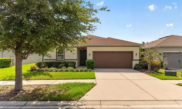 11411 Tangle Branch Lane, Gibsonton, FL, 33534