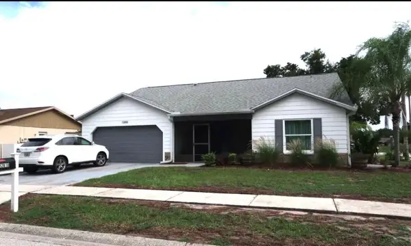 12818 Tallowood Drive, Riverview, FL, 33579