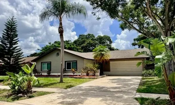 1583 Redwood Avenue, Dunedin, FL, 34698