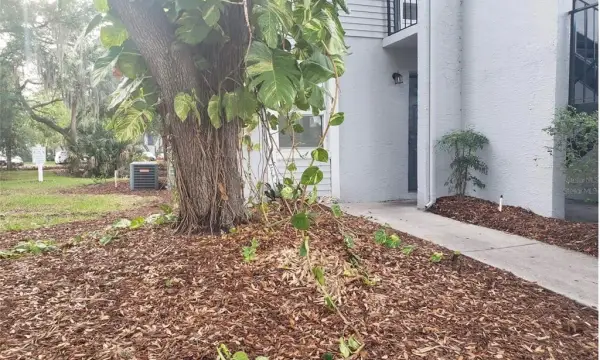 7100 Waterside Drive, Tampa, FL, 33617