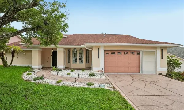 1260 Masada Lane, Spring Hill, FL, 34608