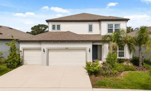 12105 Orchid Ash Street, Riverview, FL, 33579