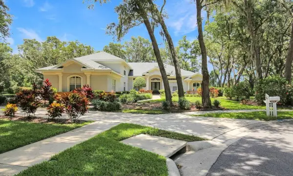 6034 Hammock Hill Avenue, Lithia, FL, 33547