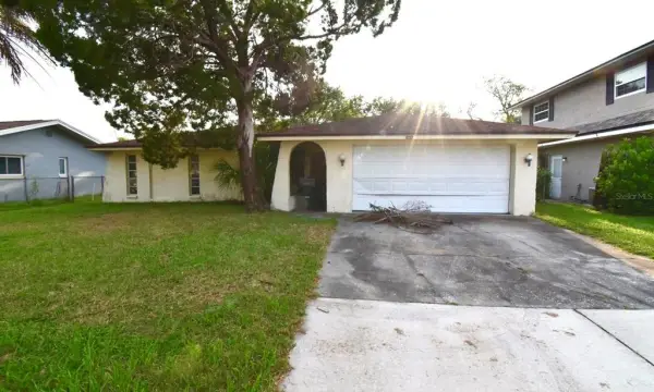 704 Lemonwood Drive, Oldsmar, FL, 34677