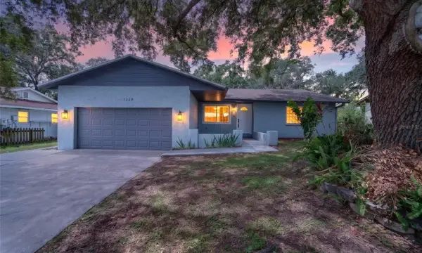 1229 Oak Valley Drive, Seffner, FL, 33584
