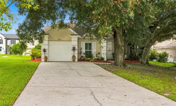 934 Berkley Court N, Palm Harbor, FL, 34684