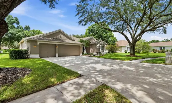 13756 Dowling Lane, Odessa, FL, 33556