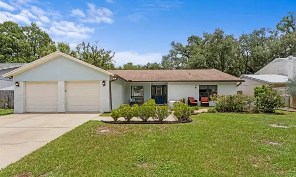 12803 Rain Forest Street, Temple Terrace, FL, 33617