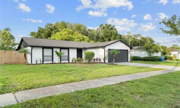 5308 Black Pine Drive, Tampa, FL, 33624