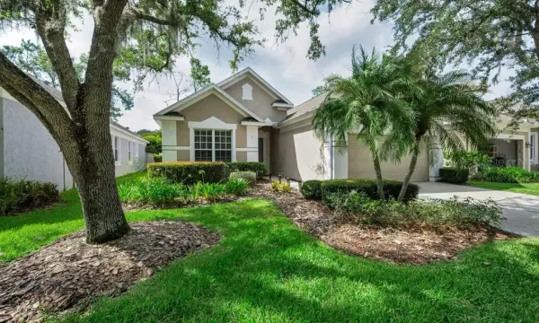 18104 Hamden Park Way, Tampa, FL, 33647