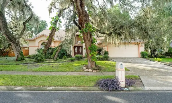 1336 Waterwood Drive, Lutz, FL, 33559