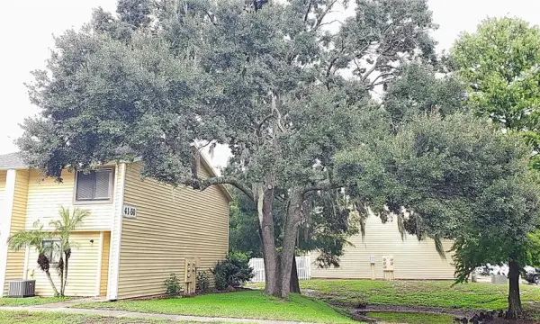 22726 Gage Loop, Unit 41, Land O Lakes, FL, 34639