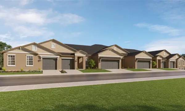 9826 Rye Cobia Drive, Land O Lakes, FL, 34638