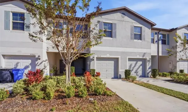 4459 Globe Thistle Drive, Tampa, FL, 33619