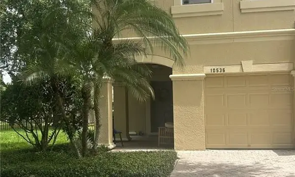 10536 Shady Falls Court, Riverview, FL, 33578