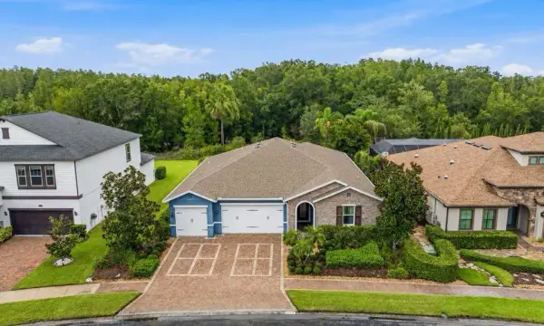 31321 Driscoll Drive, Wesley Chapel, FL, 33543