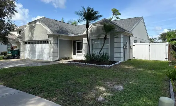 3363 Marion Drive, Palm Harbor, FL, 34684