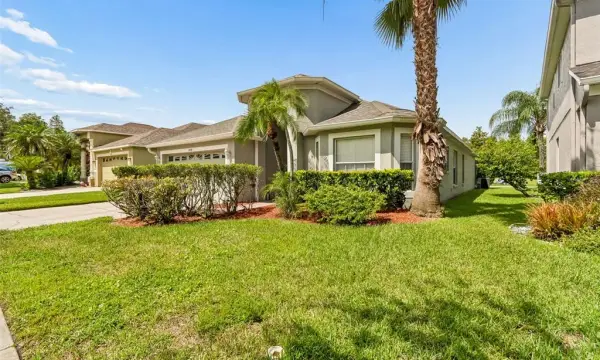 19308 Sandy Springs Circle, Lutz, FL, 33558