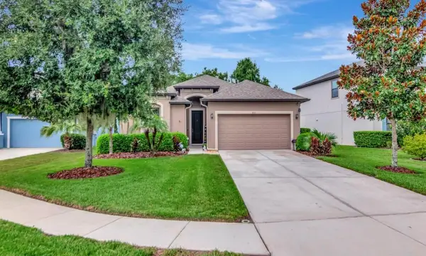 8213 Summer Brook Court, Land O Lakes, FL, 34638
