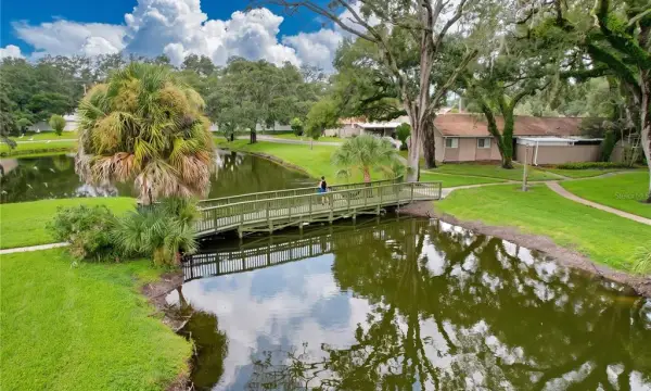 7907 Sabal Drive, Temple Terrace, FL, 33637