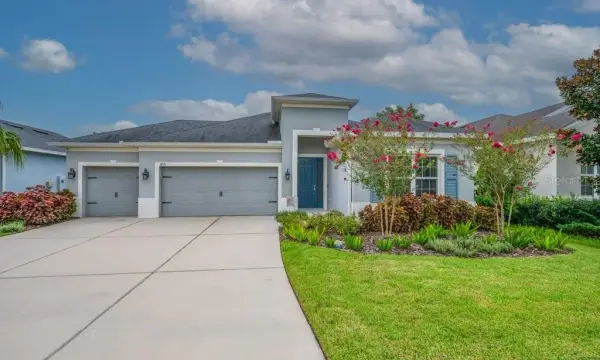 17651 Bright Wheat Drive, Lithia, FL, 33547