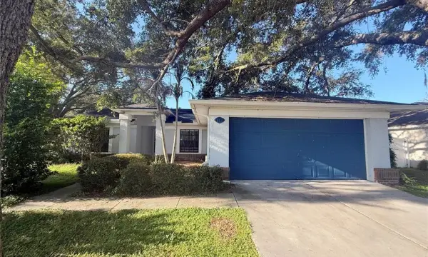 13311 Hollowbend Lane, Riverview, FL, 33569