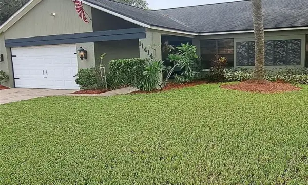 11414 Country Oaks Drive, Tampa, FL, 33618