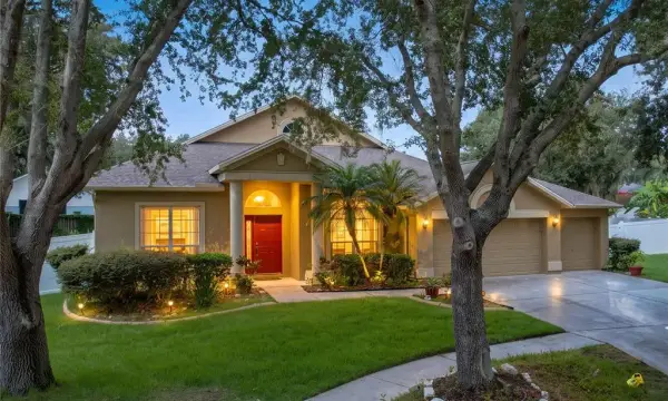 1124 Split Silk Street, Valrico, FL, 33594