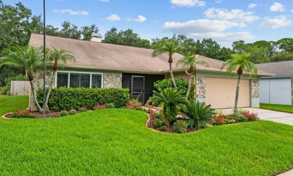 11910 Steppingstone Blvd., Tampa, FL, 33635