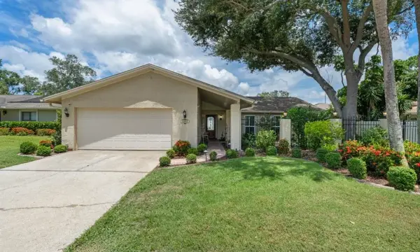 3303 El Amador Court, Tampa, FL, 33614