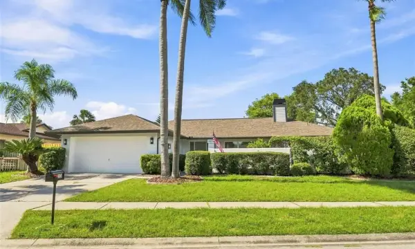 2829 Tangelo Way, Palm Harbor, FL, 34684