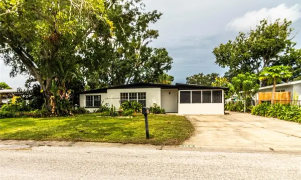 5116 Eldorado Drive, Tampa, FL, 33615
