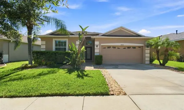 20233 Merry Oak Avenue, Tampa, FL, 33647