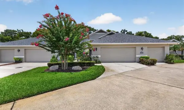 2631 Royal Liverpool Drive, Tarpon Springs, FL, 34688