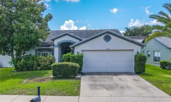 11220 Clayridge Drive, Tampa, FL, 33635