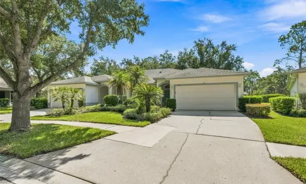 19031 Callaway Court, Tampa, FL, 33647
