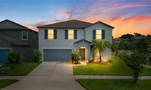 7420 Pearly Everlasting Avenue, Tampa, FL, 33619
