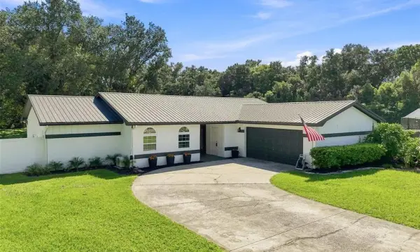 7233 Woodbrook Drive, Tampa, FL, 33625