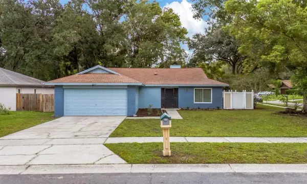 17717 Cranbrook Drive, Lutz, FL, 33549