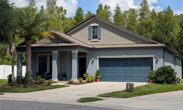 19255 Alexandrea Lee Court, Land O Lakes, FL, 34638
